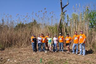 Volunteers clean up the bayou