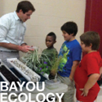 Bayou Ecology